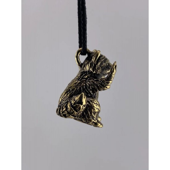 Raccoon Bronze Pendant